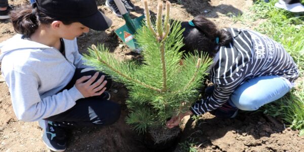 Bakan Tekin’in İmzasıyla İllere Giden 2025-2026 Eğitim ve Öğretim Yılına İlişkin İş ve İşlemler Konulu Genelge Yayımlandı