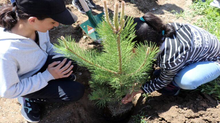 Bakan Tekin’in İmzasıyla İllere Giden 2025-2026 Eğitim ve Öğretim Yılına İlişkin İş ve İşlemler Konulu Genelge Yayımlandı